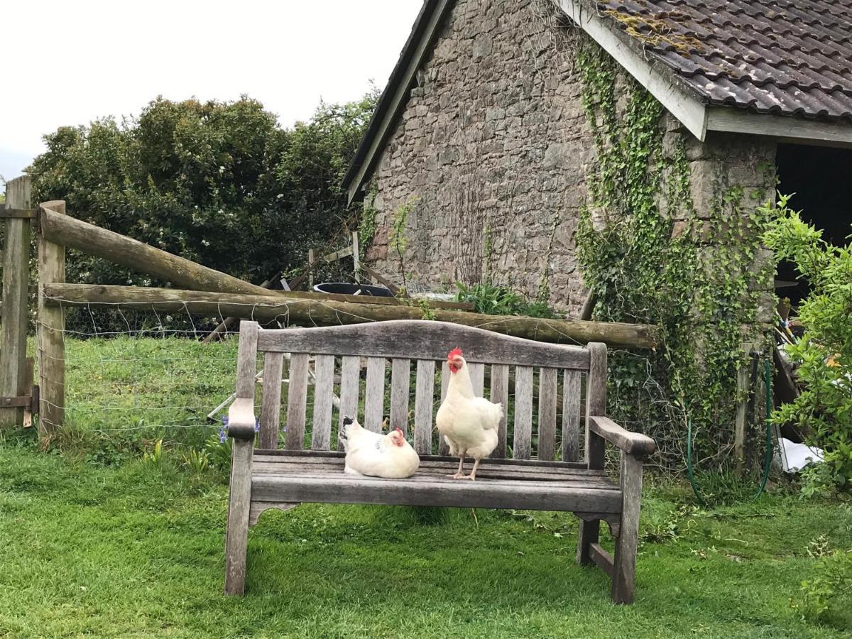 阿斯克The Bothy At Oak Farm公寓 外观 照片