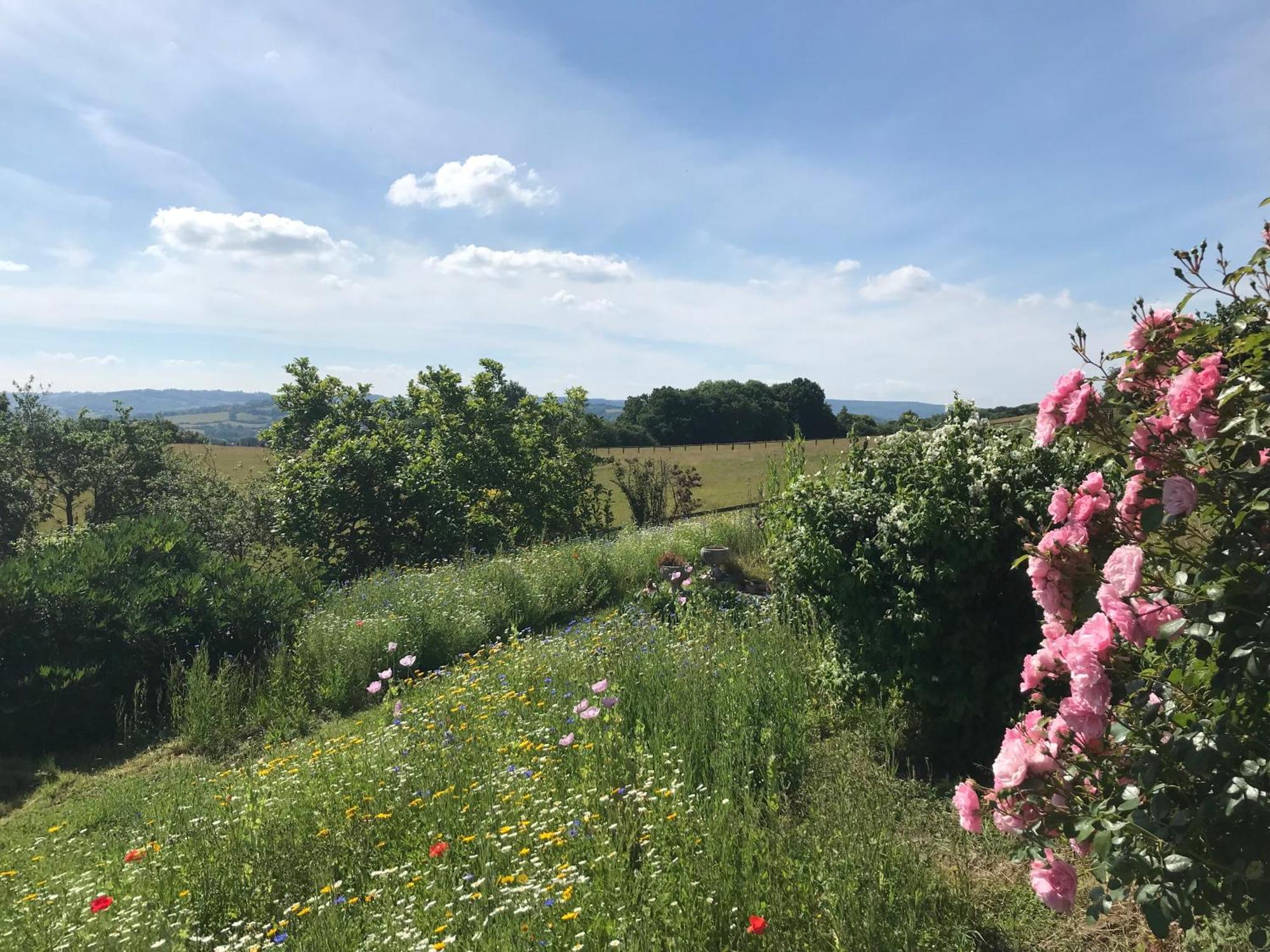 阿斯克The Bothy At Oak Farm公寓 外观 照片