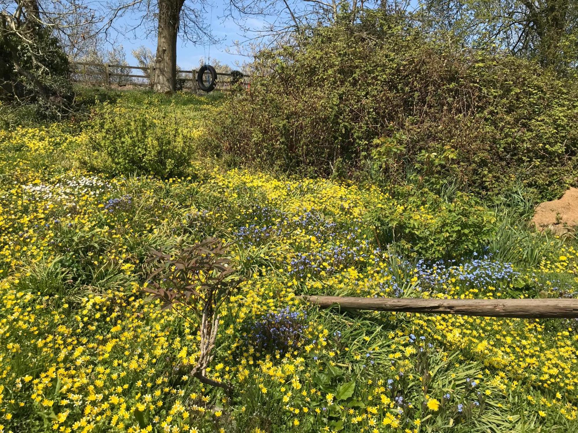 阿斯克The Bothy At Oak Farm公寓 外观 照片